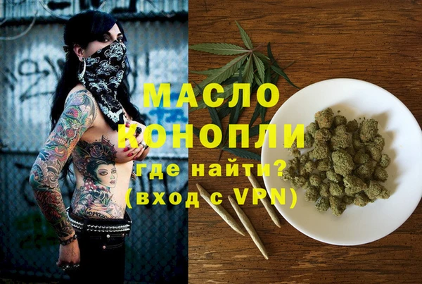 spice Богородицк