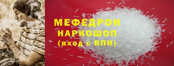 spice Богородицк